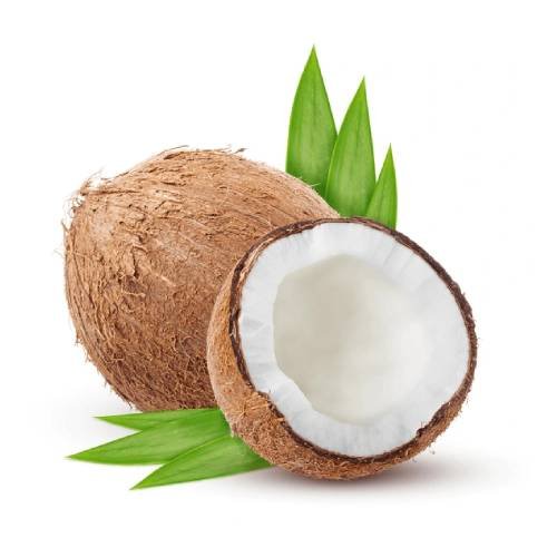 Coconut